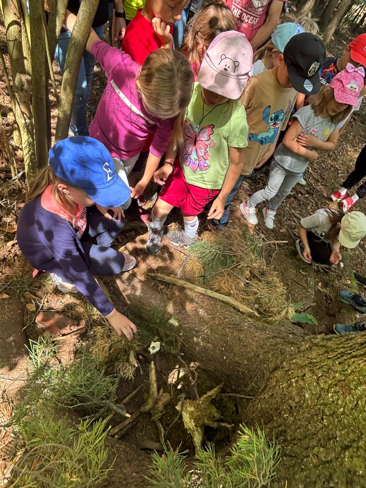 Waldtag